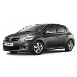 Auris