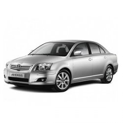 Avensis